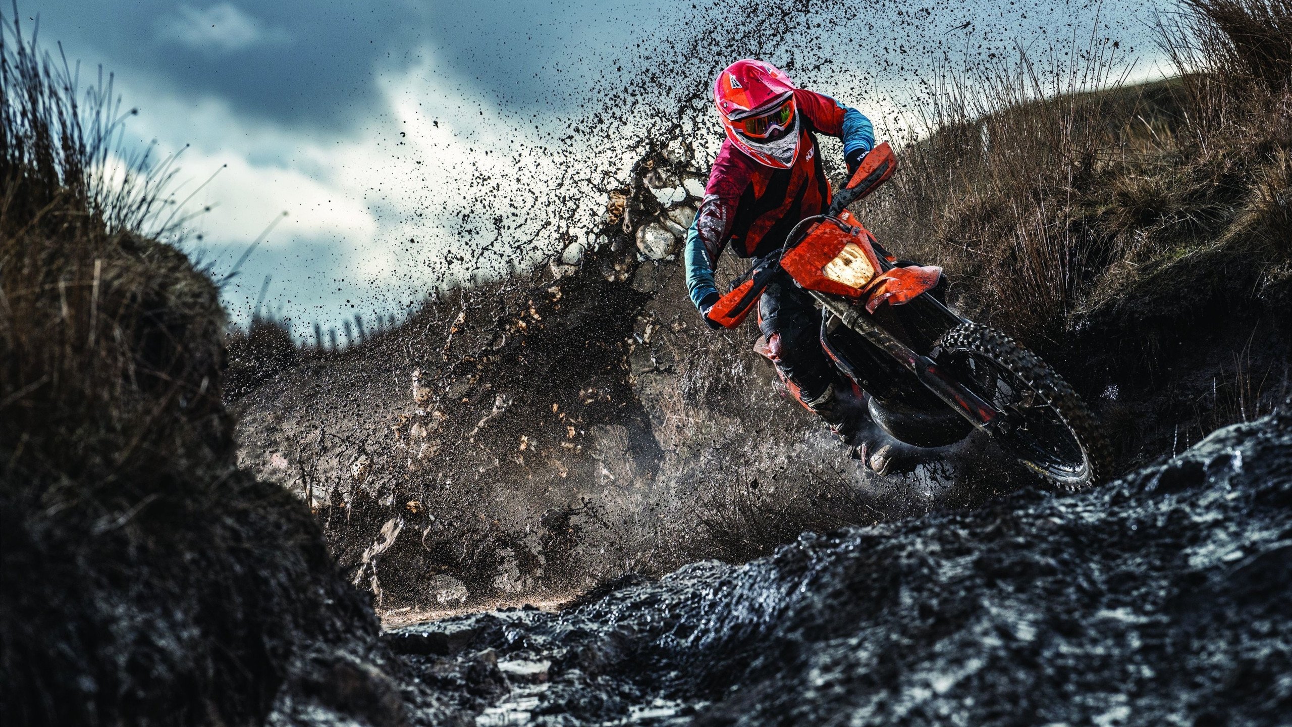 快船踏平国王显冠军相,塔图姆表现堪称现代篮球教科书