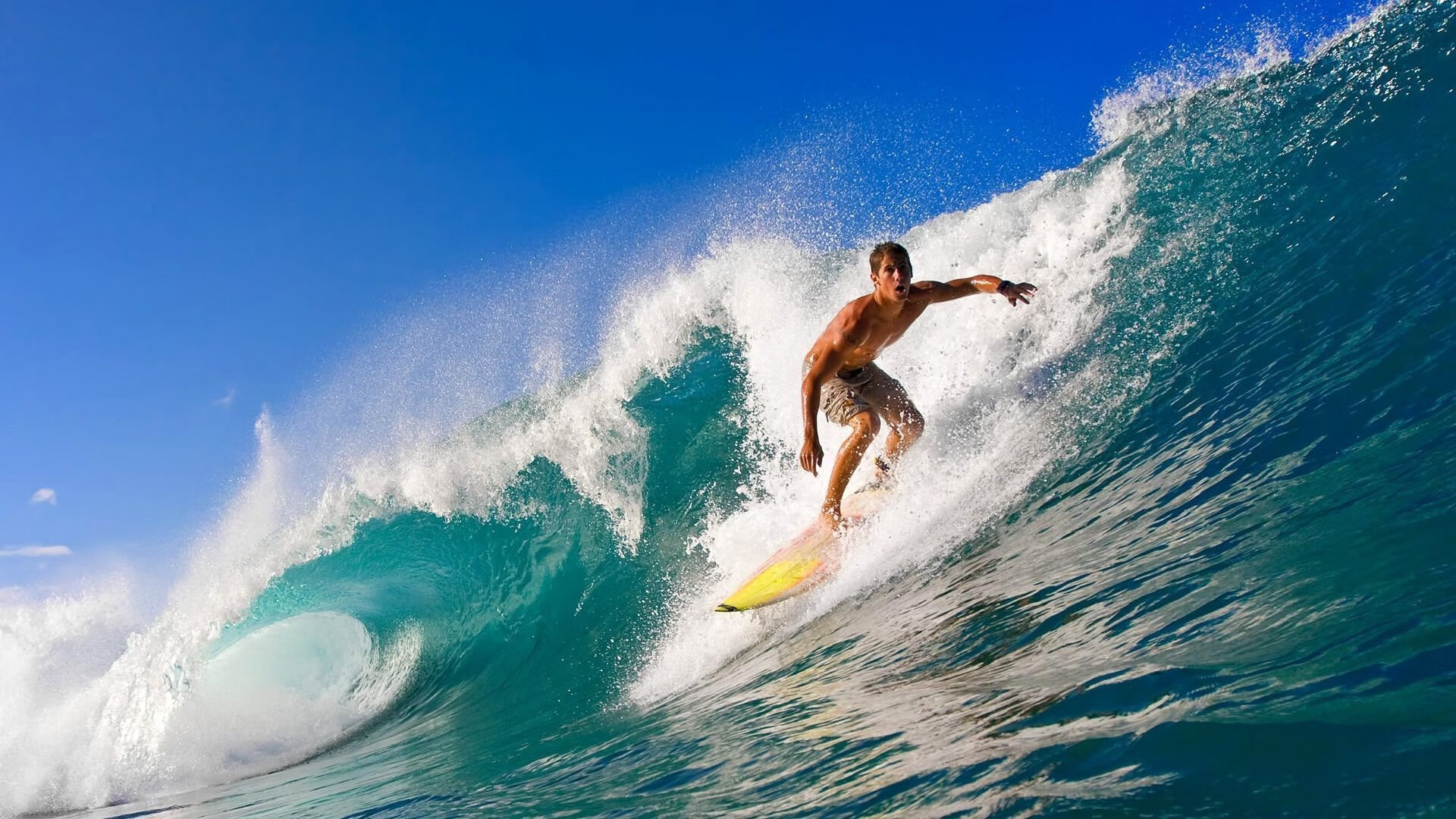 鹰击长空，船行浪尖，F1年度争冠的终极血拼